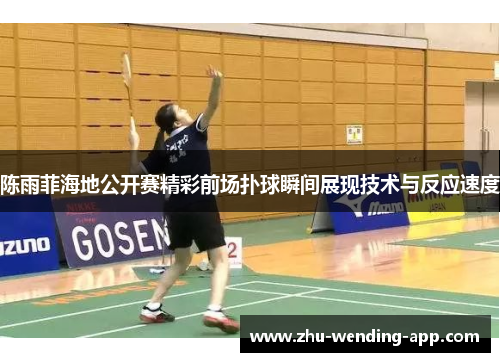 陈雨菲海地公开赛精彩前场扑球瞬间展现技术与反应速度