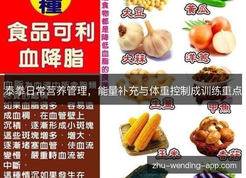 泰拳日常营养管理，能量补充与体重控制成训练重点